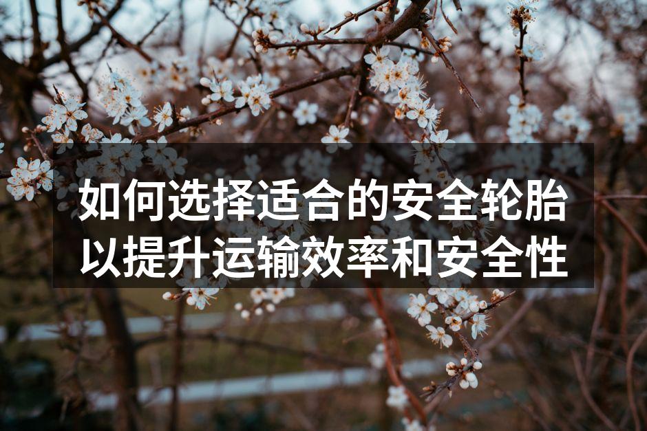 正确选择轮胎能有效提高运输安全性
